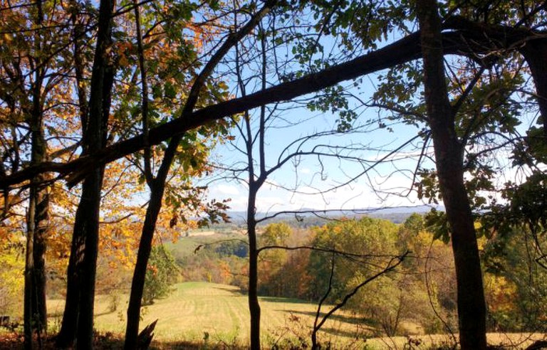 Nature Lodges (Lewisburg, West Virginia, United States)