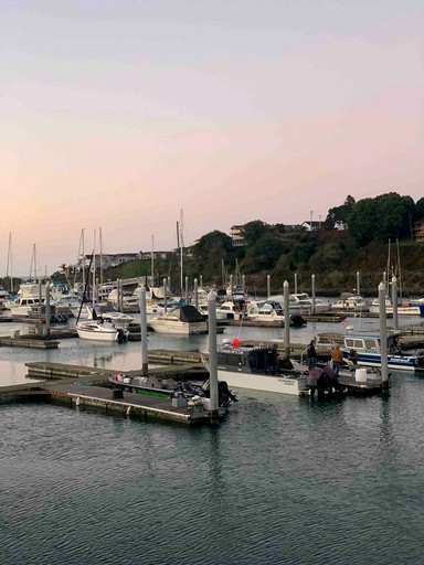 Airstreams (Brookings, Oregon, United States of America)