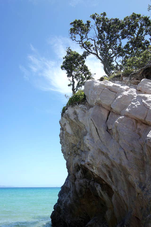 Clifftop Great Barrier Island Accommodation for a Secluded Getaway