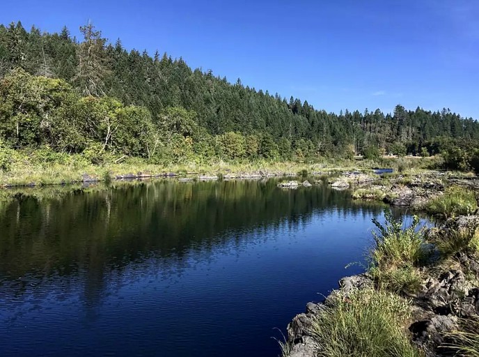 Cedar Bloom, AFrames 57911, Cave Junction, United States of America