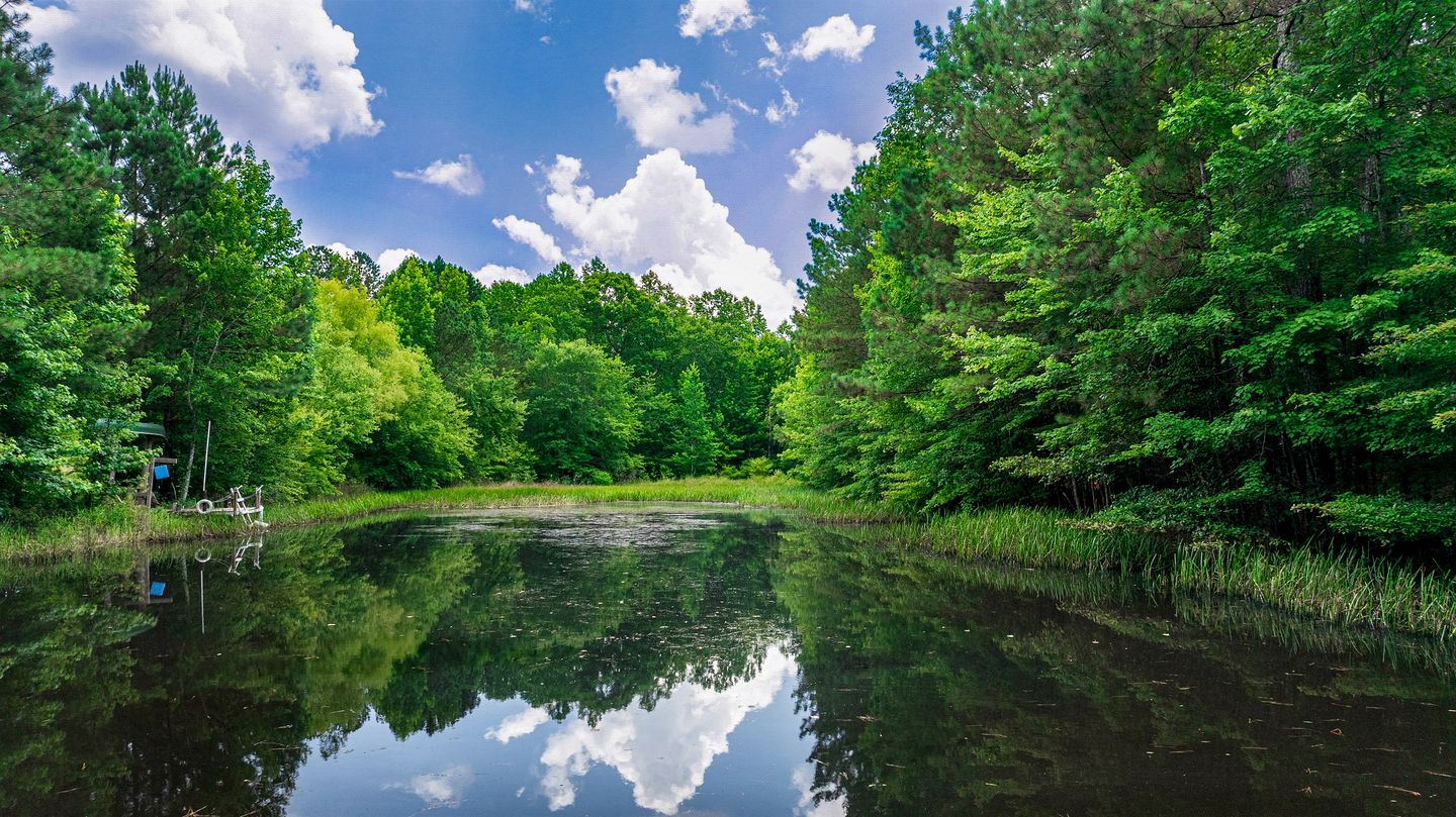 Secluded Cabin in the Woods with Hot Tub & Lake Fishing Access in Mentone, Alabama