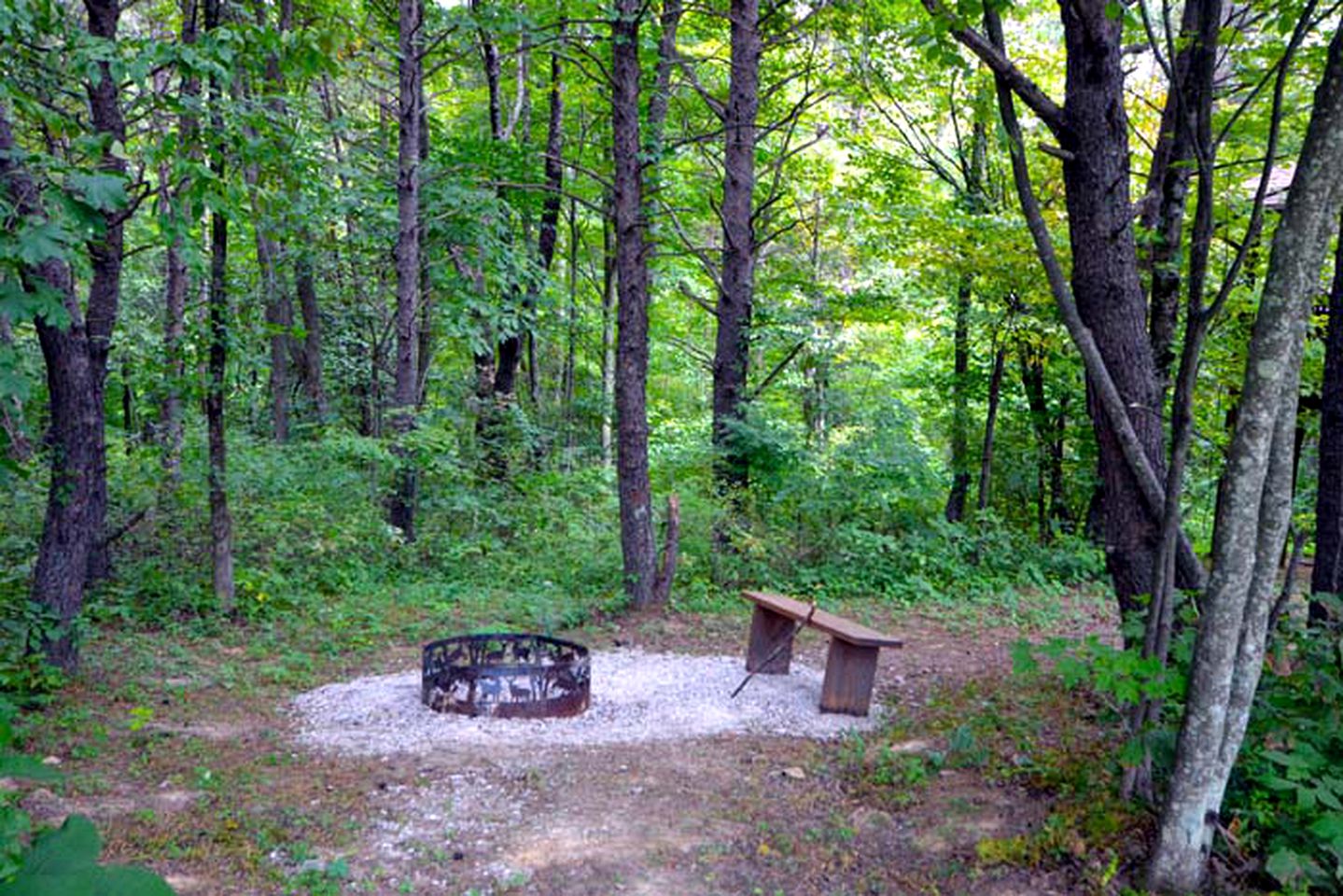 Romantic Forest Cabin Getaway near Cantwell Cliffs in Logan, Ohio