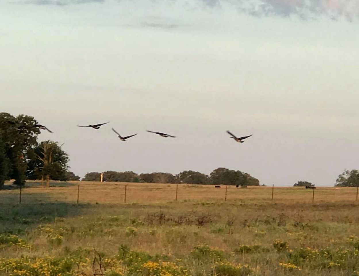 Secluded Log Cabin with Amazing Views in Tishomingo, Oklahoma
