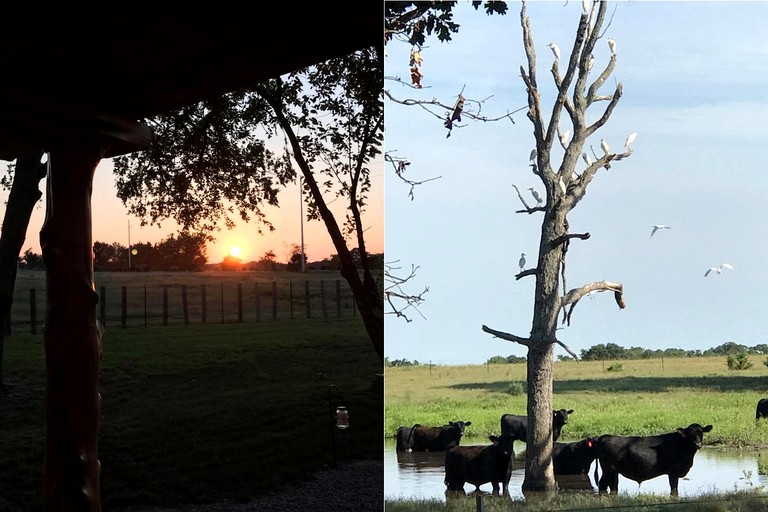Log Cabins (Tishomingo, Oklahoma, United States)