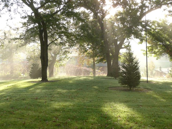 Cabins (Whalan, Minnesota, United States)