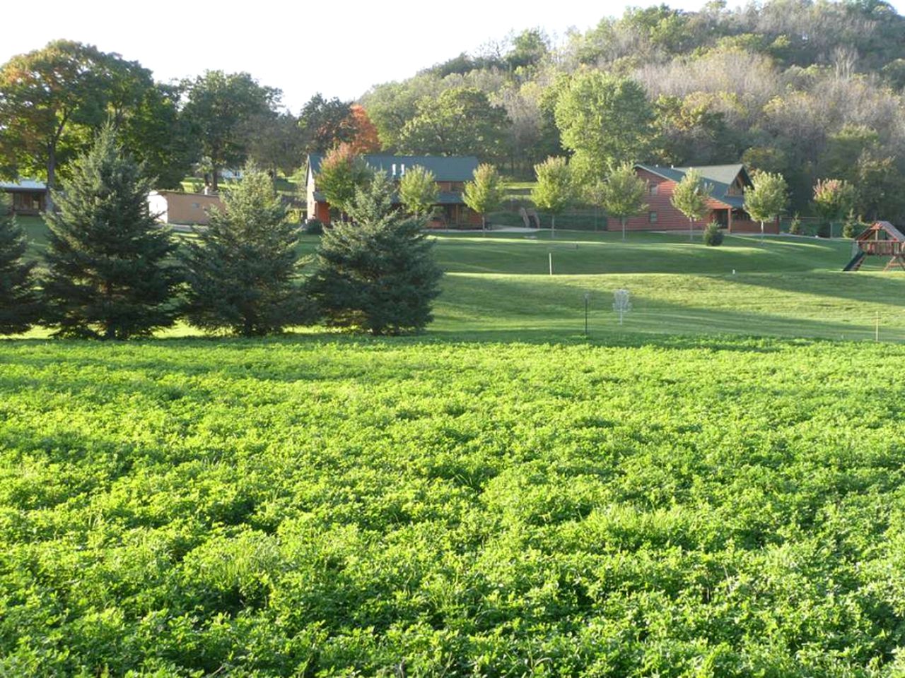 Modern Cabin Rental in Root River Valley near Lanesboro, Minnesota