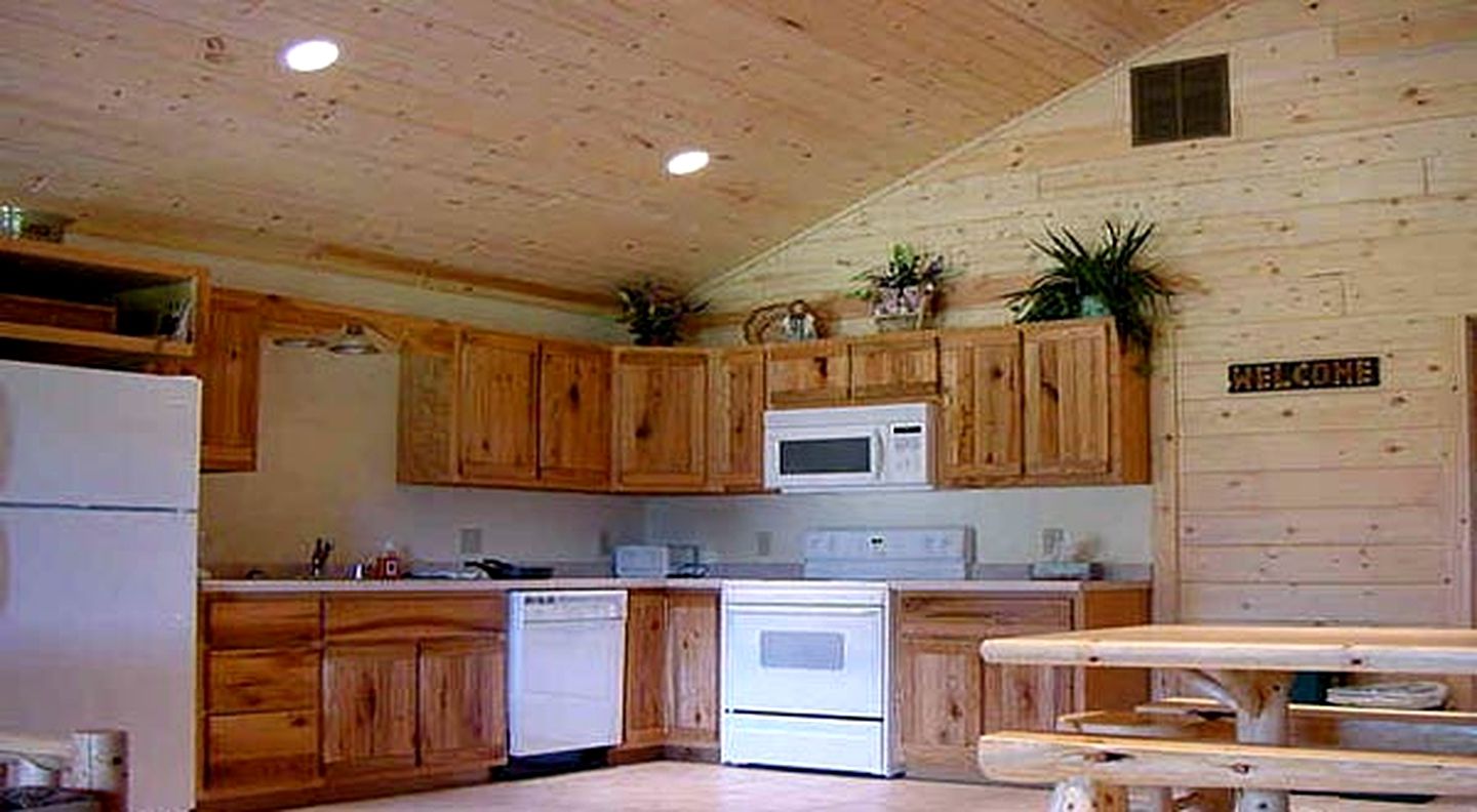 Scenic Cabin Rental Surrounded by Verdant Forest near Lanesboro, Minnesota