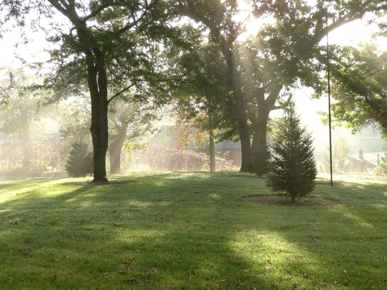 Scenic Cabin Rental Surrounded by Verdant Forest near Lanesboro, Minnesota