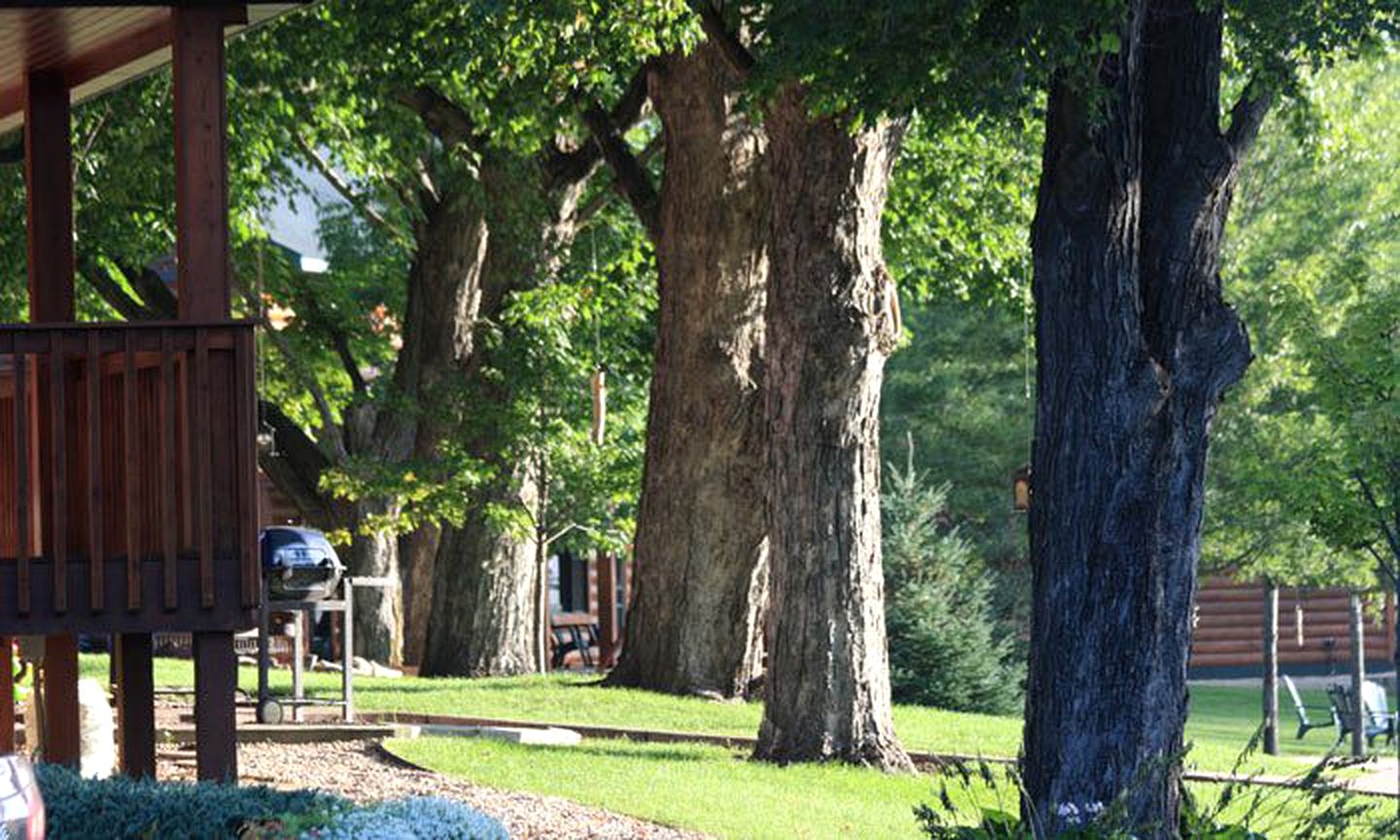 Gorgeous Cabin Surrounded by Trees and Incredible Views near Lanesboro, Minnesota