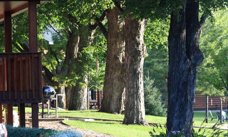 Cabins (Whalan, Minnesota, United States)