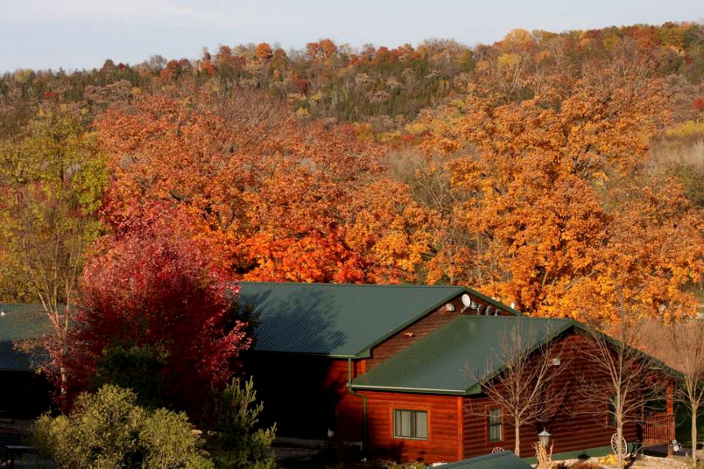Gorgeous Cabin Surrounded by Trees and Incredible Views near Lanesboro, Minnesota