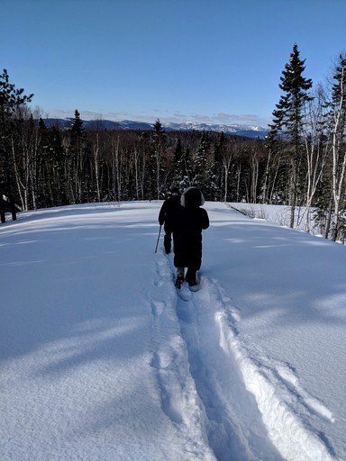 Cabins (Canada, Baie Saint Paul, Quebec)