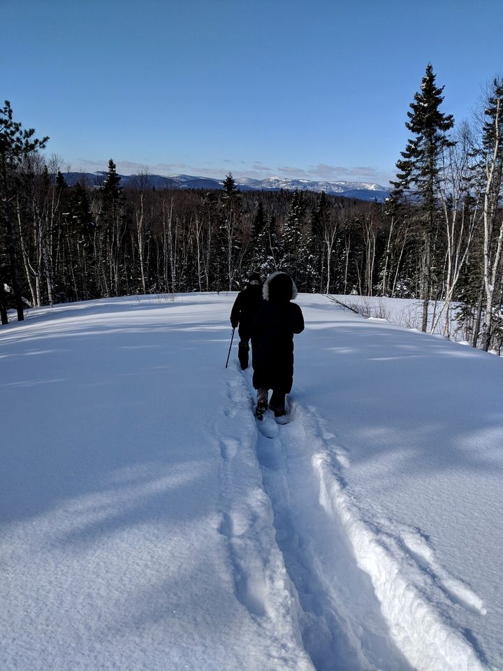Stylish Pet-Friendly Vacation Cabin with Fire Pit and Hot Tub near Baie-St-Paul, Quebec