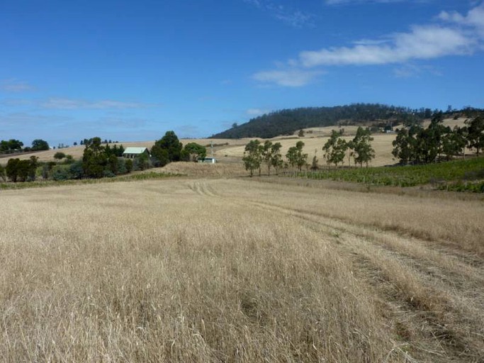 Cottages (Tea Tree, Tasmania, Australia)