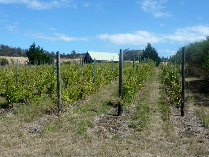 Cottages (Tea Tree, Tasmania, Australia)