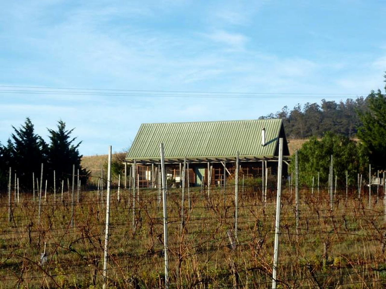 Vineyard Holiday Cottage near Richmond, Tasmania