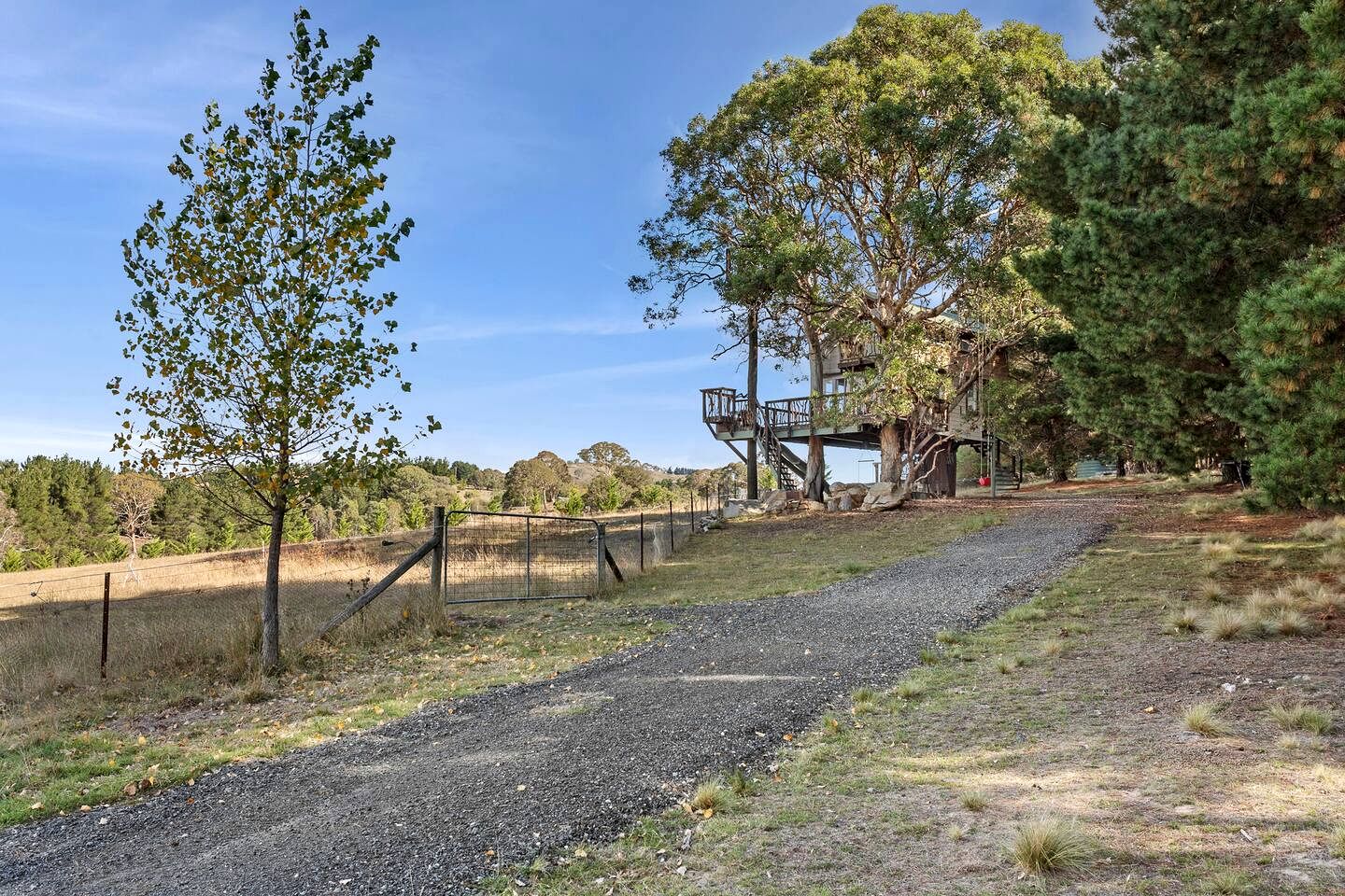 Peaceful Farm Retreat with Tree House & Guest Cottage near Canberra in Carwoola, Australia
