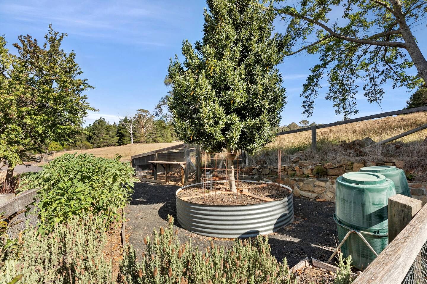 Peaceful Farm Retreat with Tree House & Guest Cottage near Canberra in Carwoola, Australia