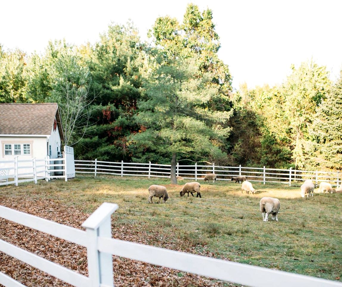 Charming Accommodation for a Weekend Getaway in Buckingham Township, Pennsylvania