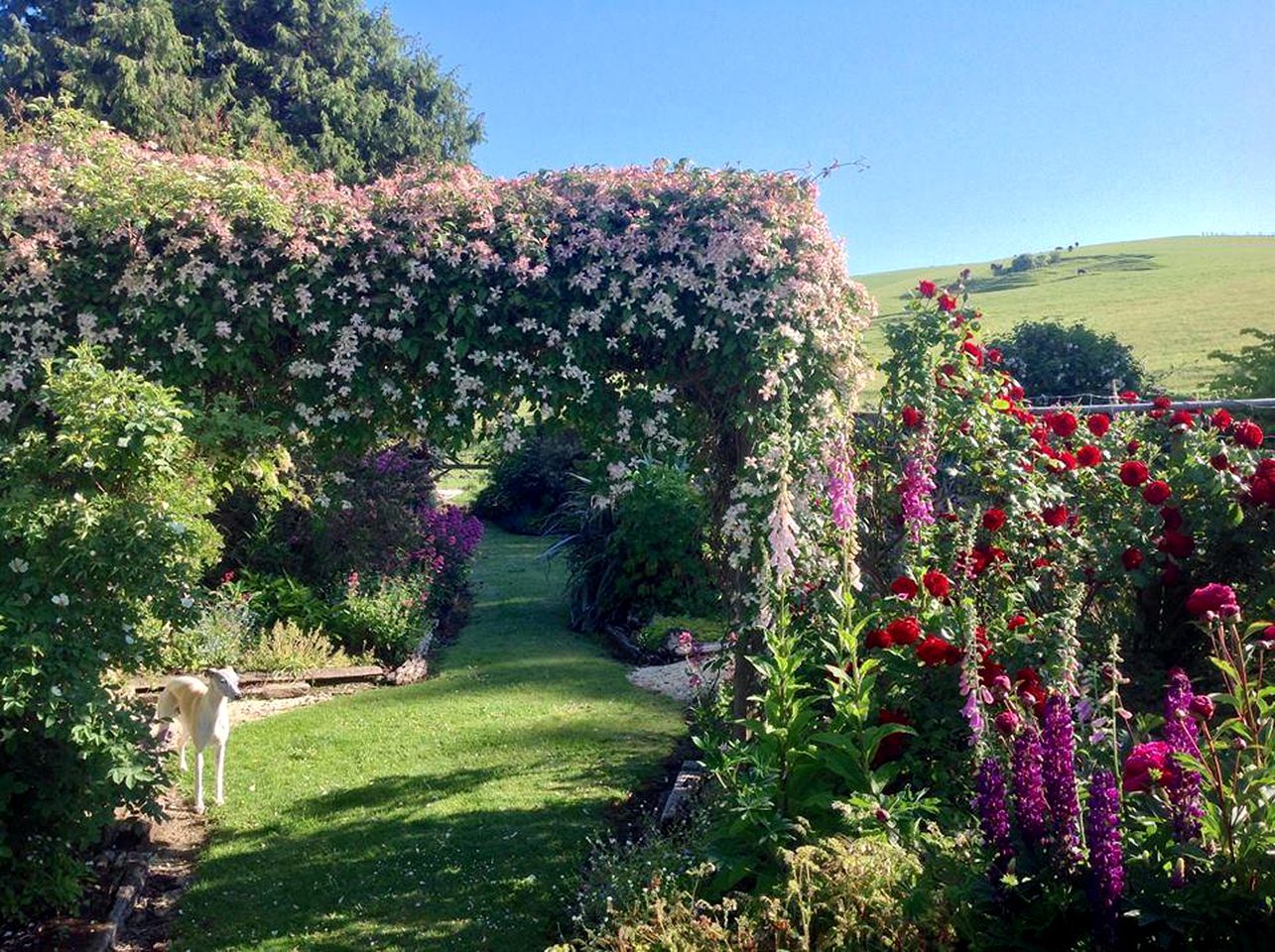 Vegan Bed and Breakfast Rental at Animal Sanctuary in Milton, South Island, New Zealand