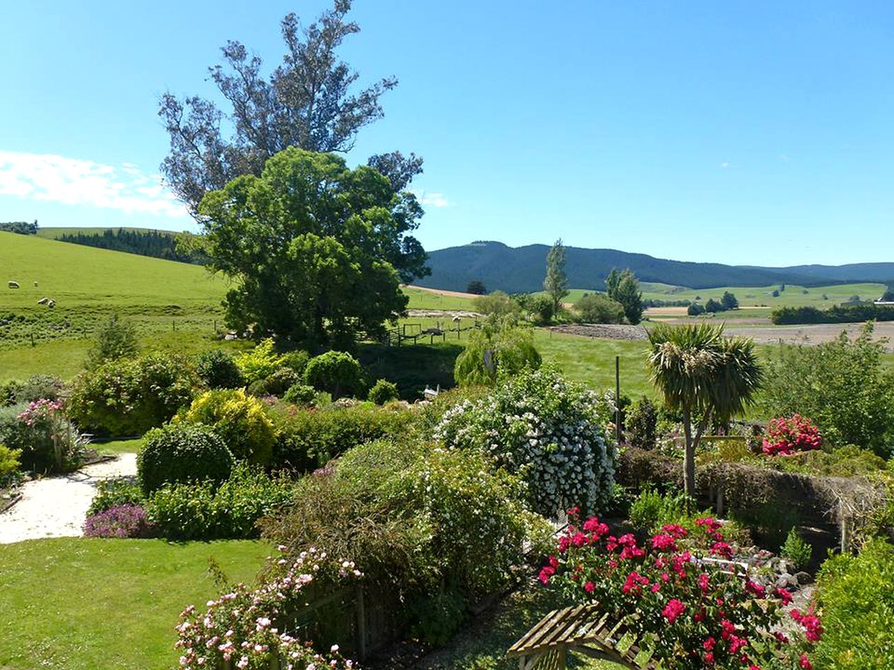 Vegan Bed and Breakfast Rental at Animal Sanctuary in Milton, South Island, New Zealand