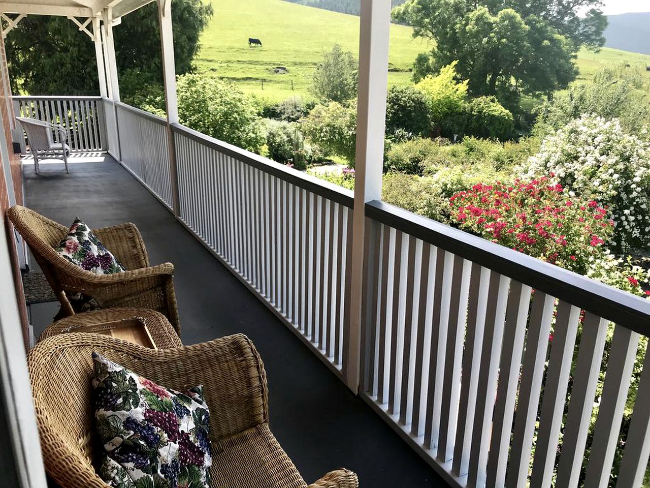 Vegan Bed and Breakfast Rental at Animal Sanctuary in Milton, South Island, New Zealand