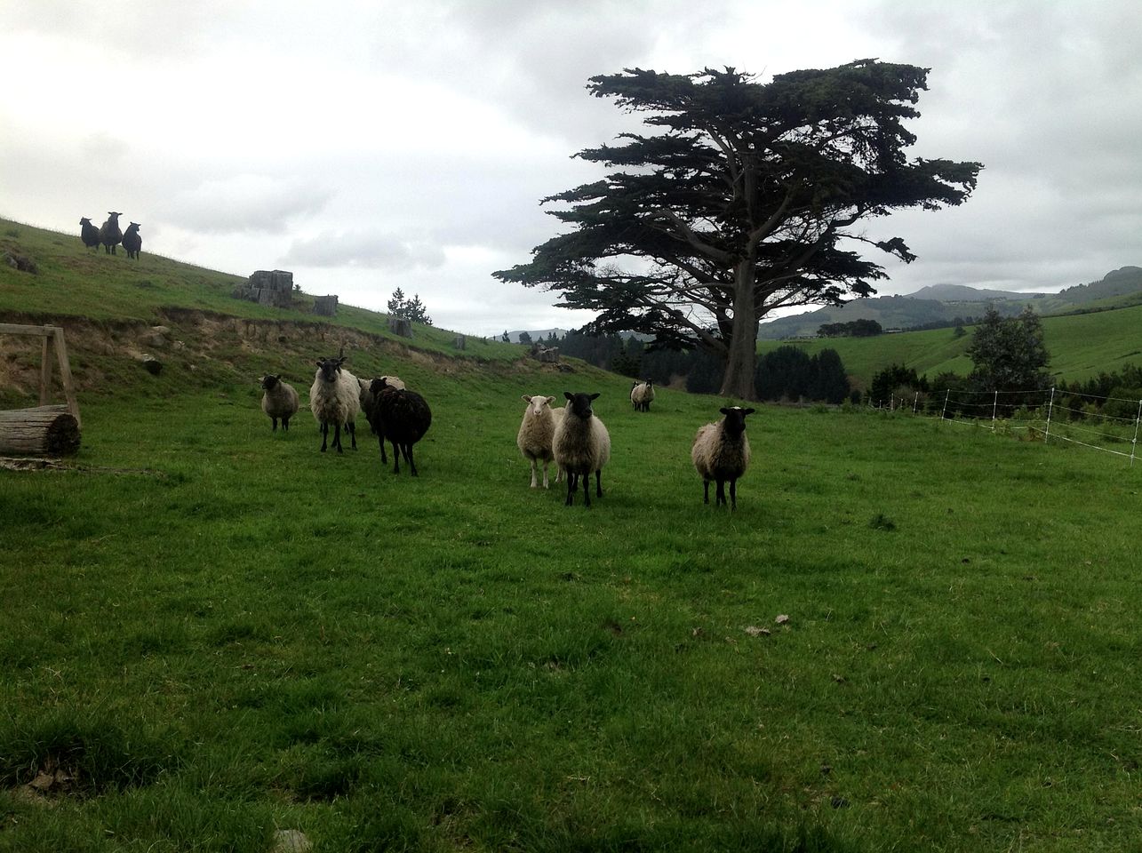 Charming Bed and Breakfast Room with Ocean Views in Otago, New Zealand