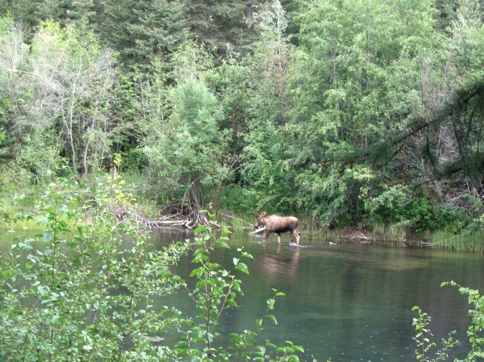 Nature Lodges (North Pole, Alaska, United States)