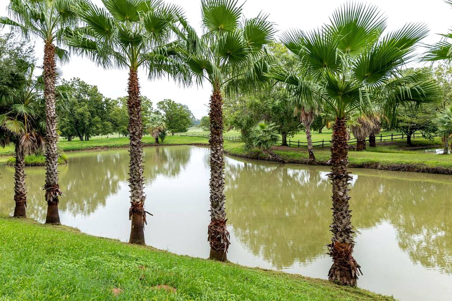 Charming Cabin Oasis on Lake Bridgeport: Glamping in Texas Hill Country
