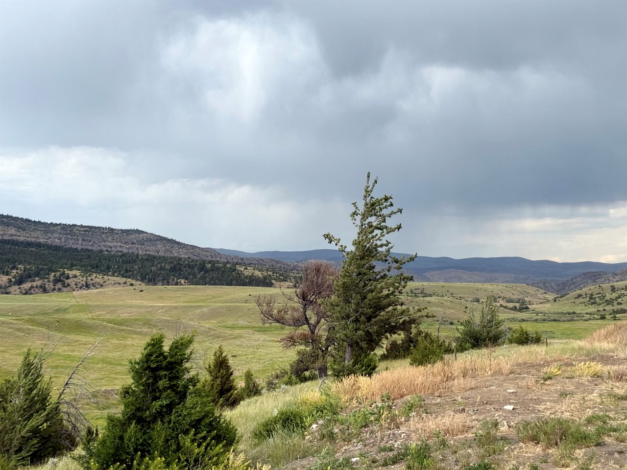 Charming Cabin with Panoramic Mountain Views near Pony in the Tobacco Root Foothills, Montana