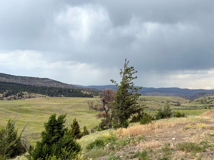 Cabins (United States of America, Pony, Montana)