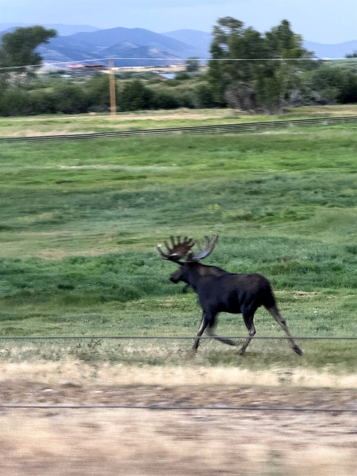 Charming Cabin with Panoramic Mountain Views near Pony in the Tobacco Root Foothills, Montana