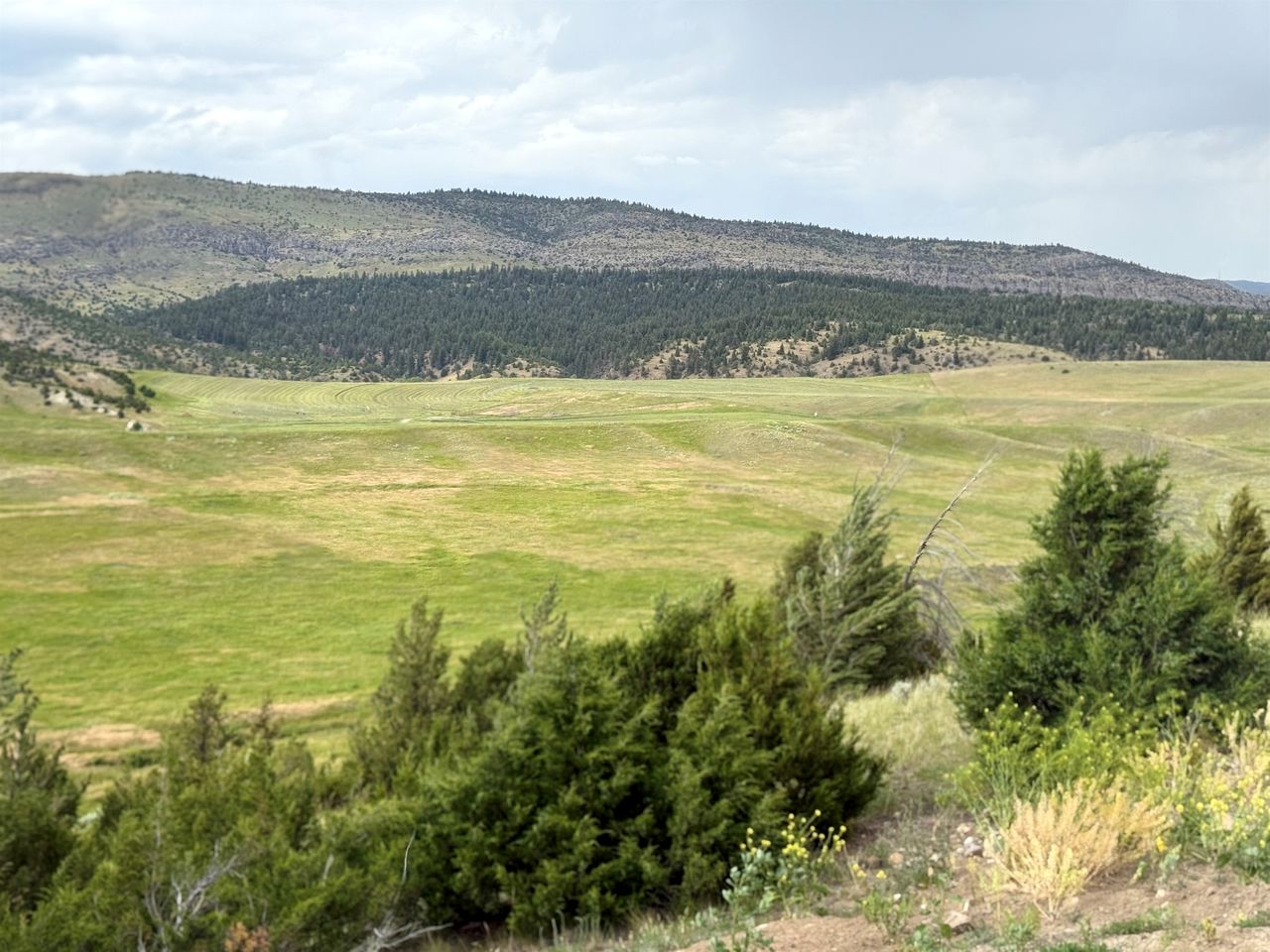 Charming Cabin with Panoramic Mountain Views near Pony in the Tobacco Root Foothills, Montana