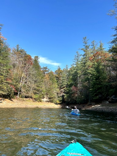Cabins (United States of America, Campton, Kentucky)