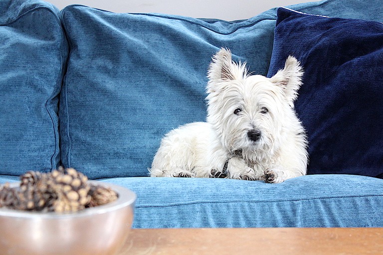 Cabins (Canada, South River, Ontario)