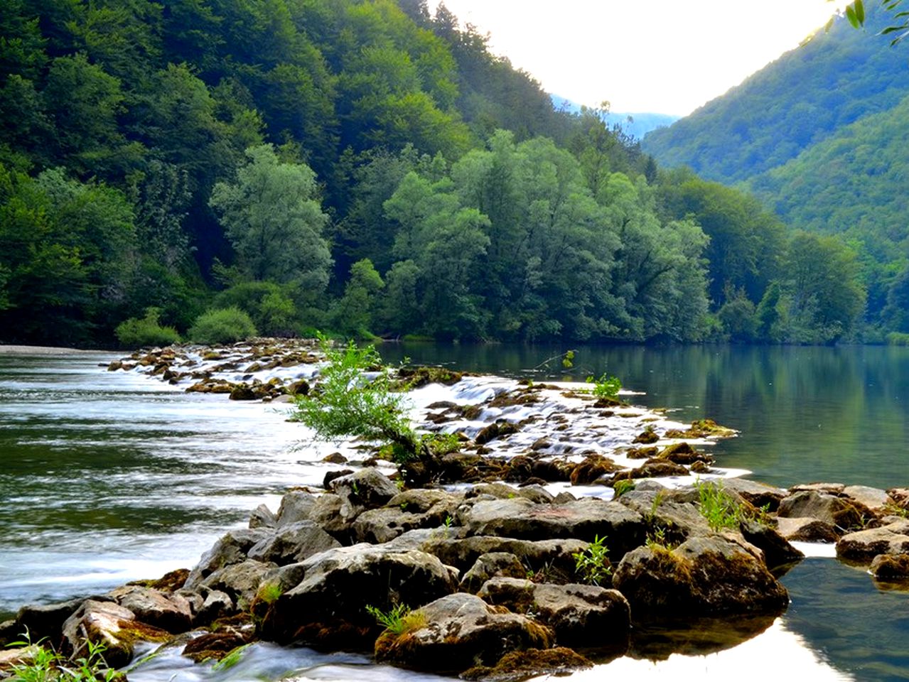 Charming Cabin Rental for Glamping near Črnomelj, Slovenia