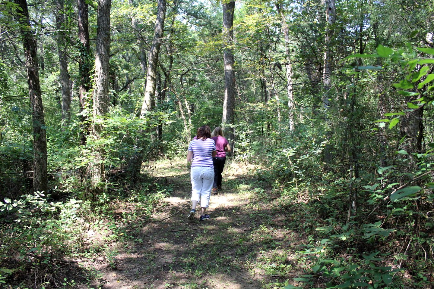 Charming Cabin Rental near Lake Texoma in Sadler, Texas