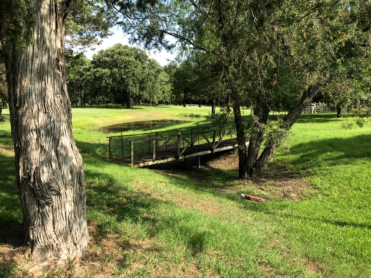 Charming Cabin Rental near Lake Texoma in Sadler, Texas