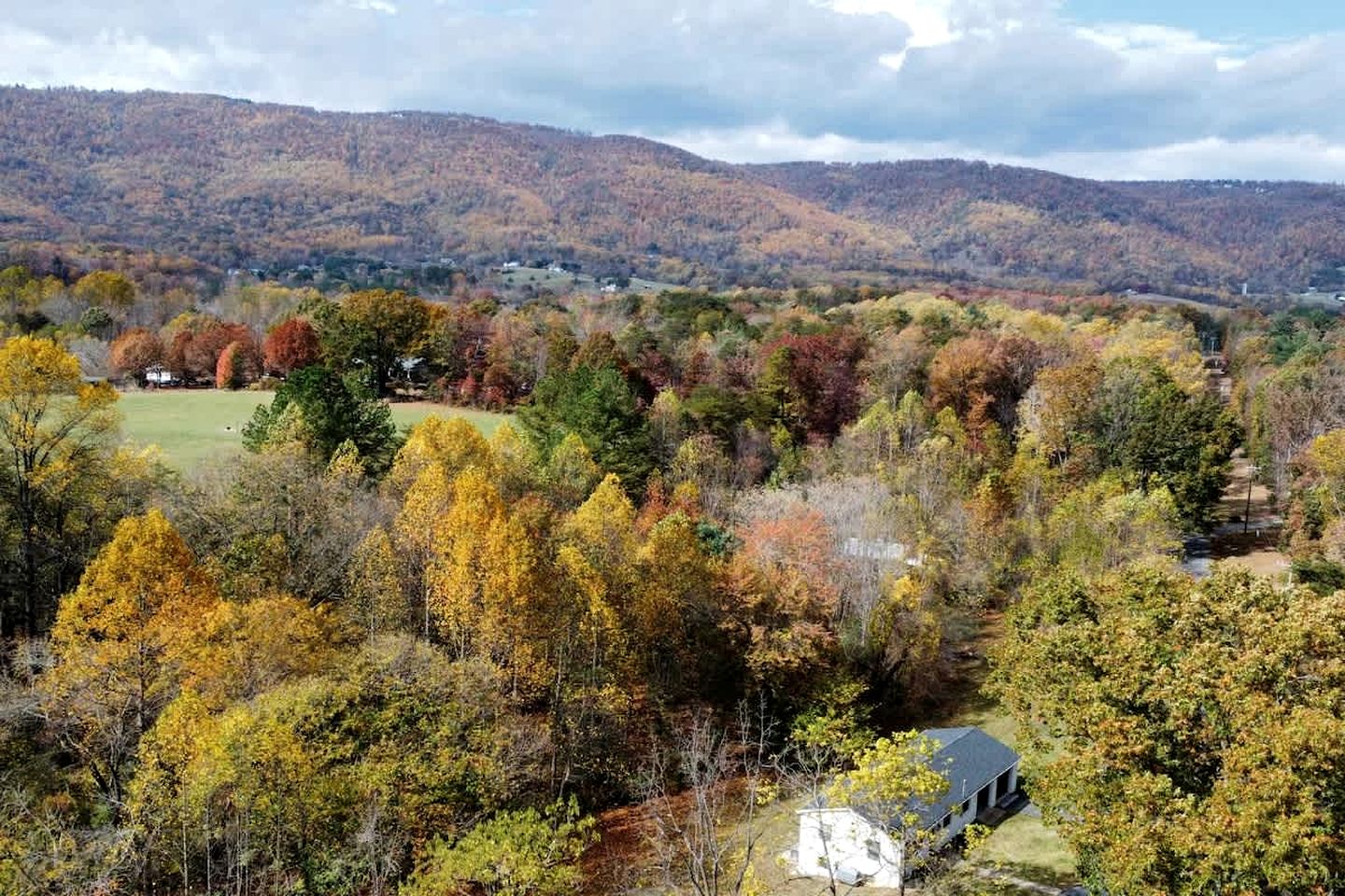 Charming Cabin Rental near Wineries and Hiking Trails in Afton, Virginia