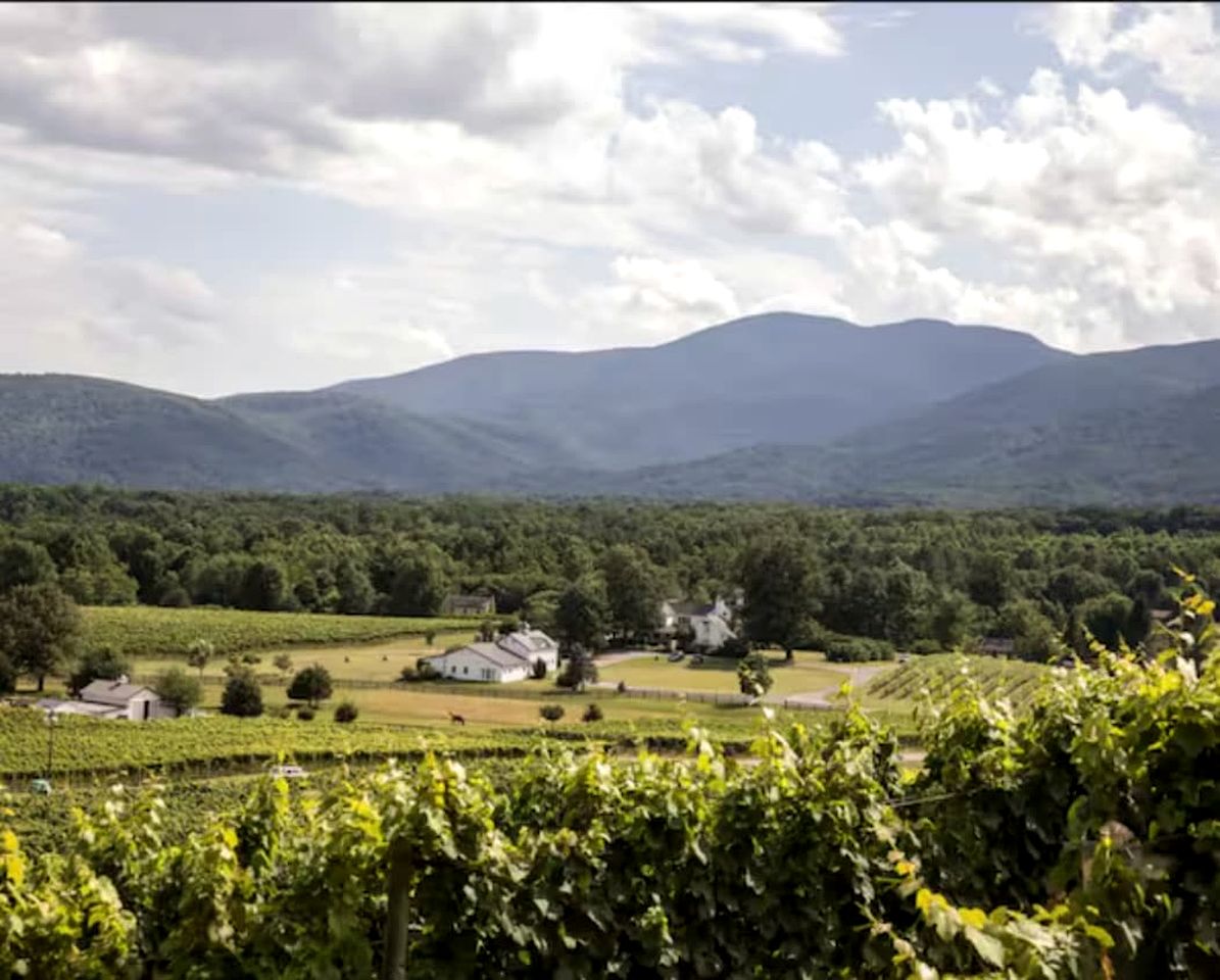 Charming Cabin Rental near Wineries and Hiking Trails in Afton, Virginia