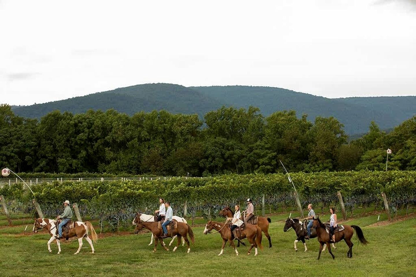 Charming Cabin Rental near Wineries and Hiking Trails in Afton, Virginia