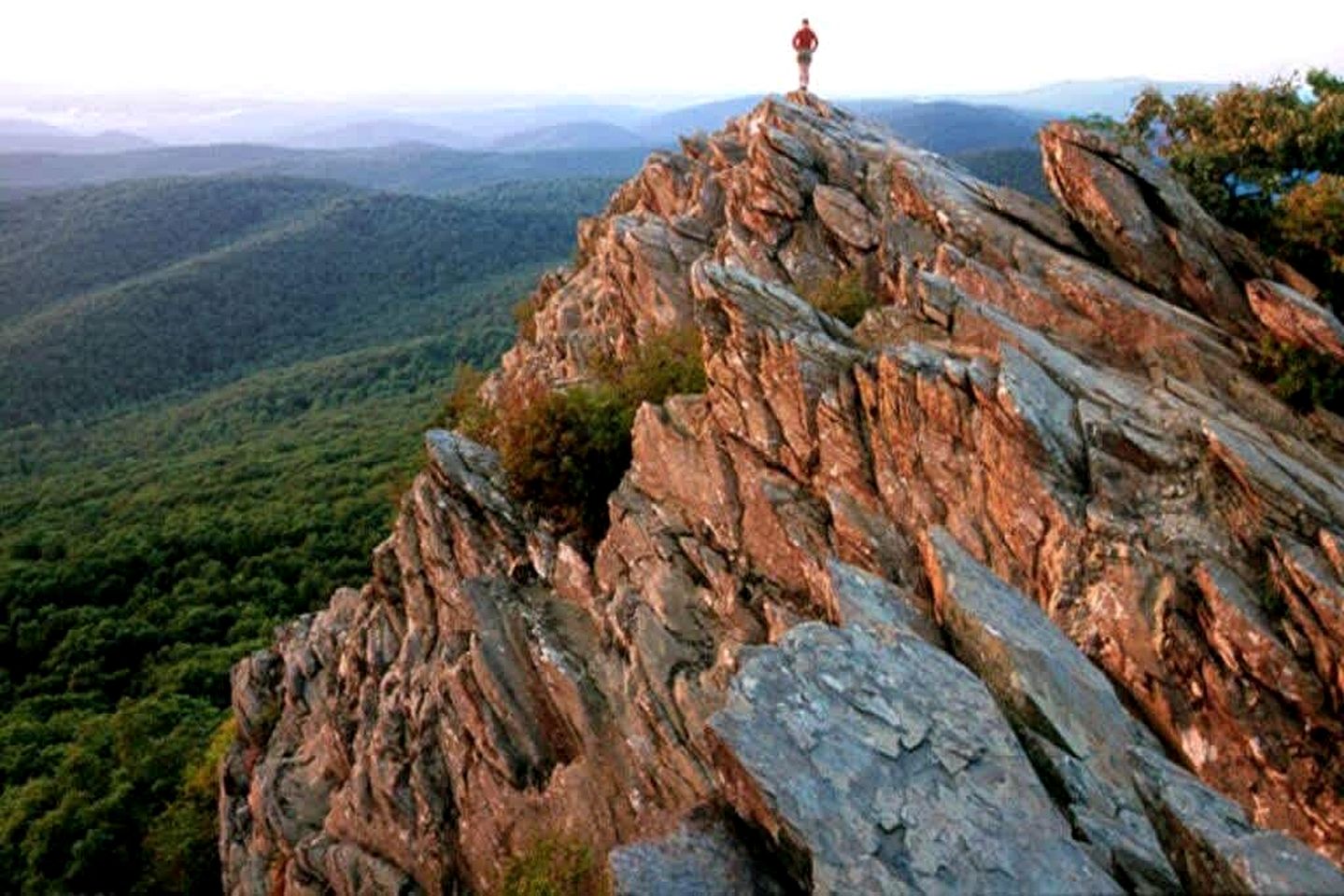 Charming Cabin Rental near Wineries and Hiking Trails in Afton, Virginia