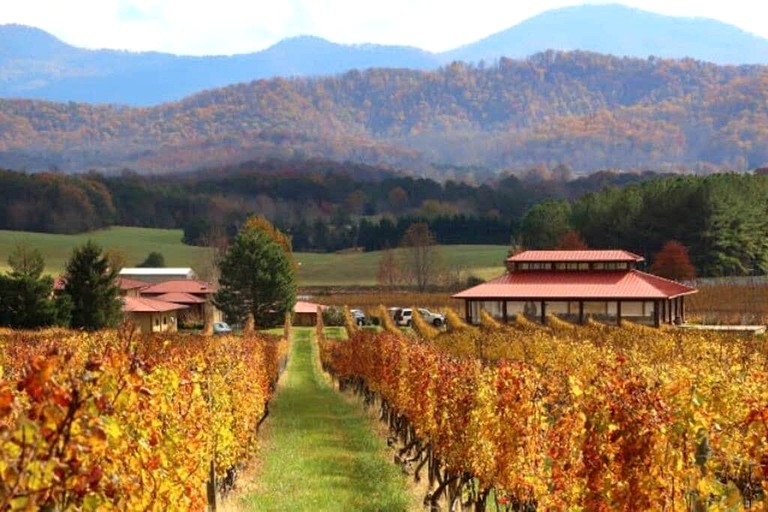 Cabins (United States of America, Afton, Virginia)