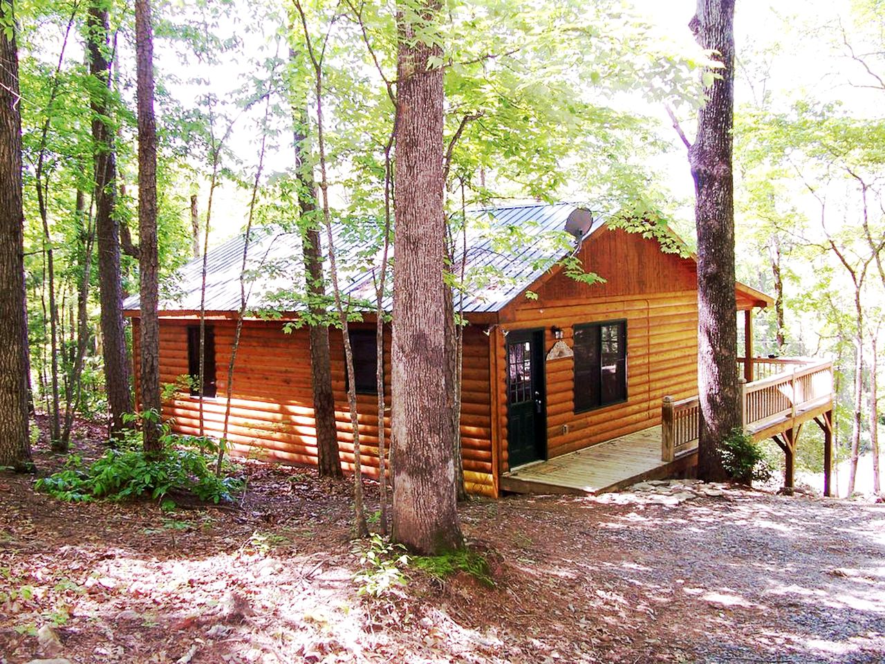 Cabin Rental in Georgia