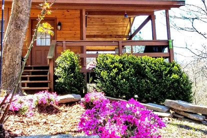 undefined photo 4