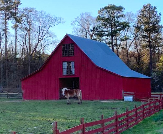 Barns (Washington, Arkansas, United States)