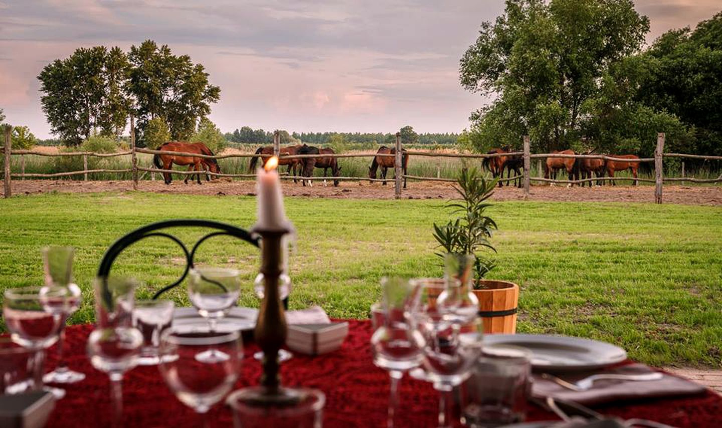 Charming Cottage Rental in Prime Horseback Riding Terrain near Szeged, Hungary