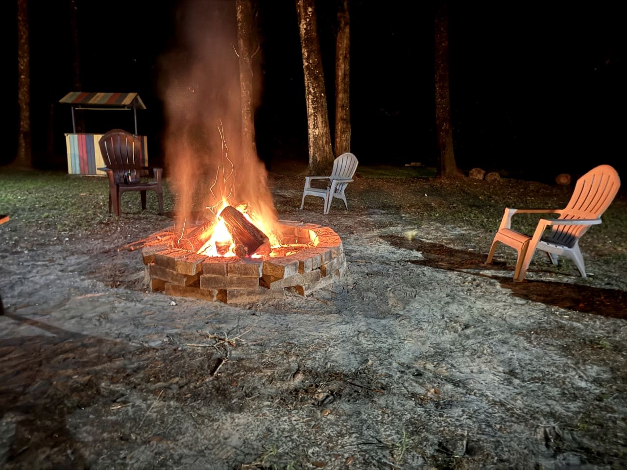 Charming Cottage Surrounded by Trees in Dunnellon, Florida