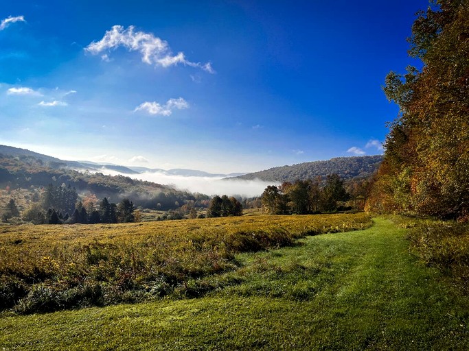 Vacation Rentals (United States of America, Walton, New York)