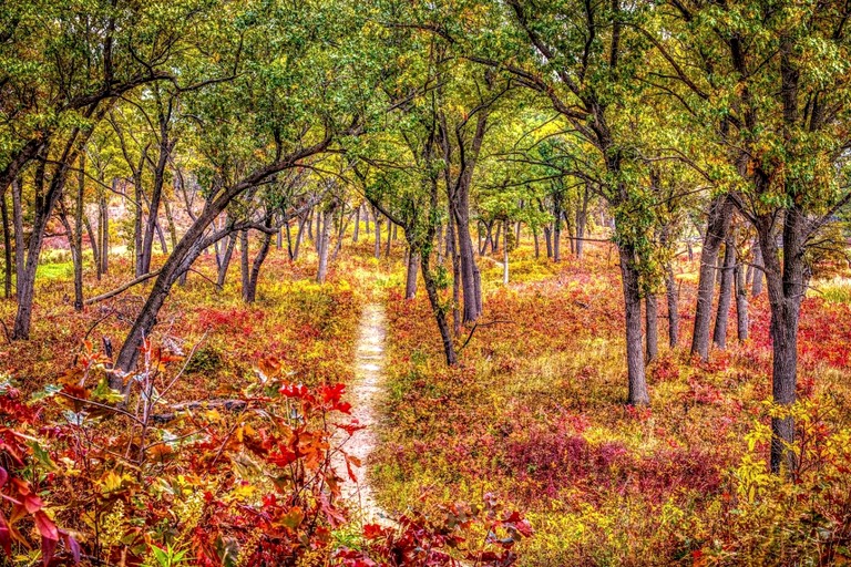 Cabins (United States of America, Gary, Indiana)